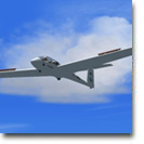 Glider Practical Test